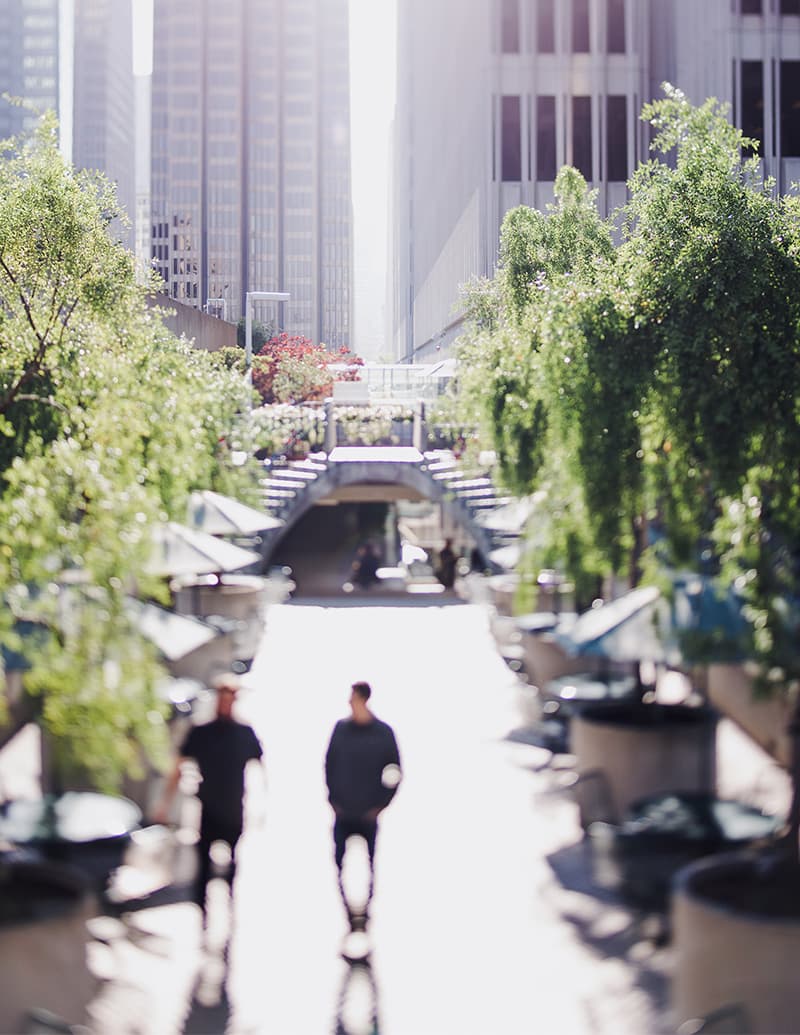 Consultores SecureWatch Solutions